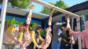 Semangat Berbagi Iduladha, Srikandi PLN UIT JBB Turun Langsung Tebar Daging untuk Masyarakat